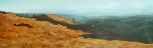 SAMSUNG TECHWIN DIGIMAX-230